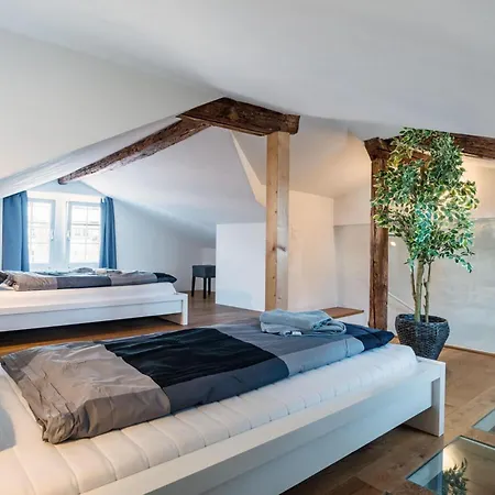 Hitrental Schmidgasse - * Zürih