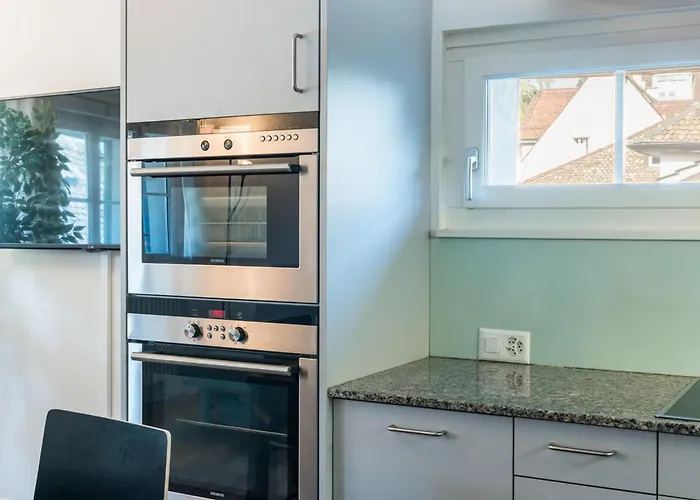 Hitrental Schmidgasse - *