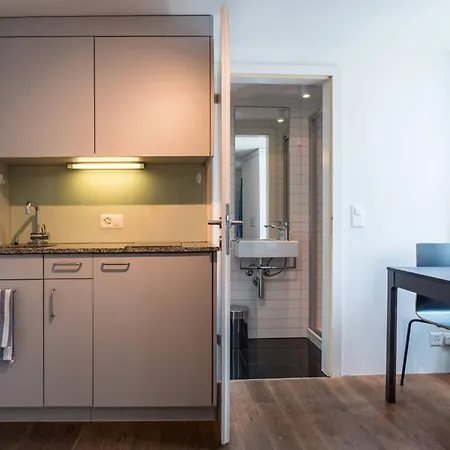 Hitrental Schmidgasse - *