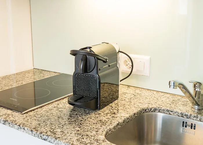 Hitrental Schmidgasse - *